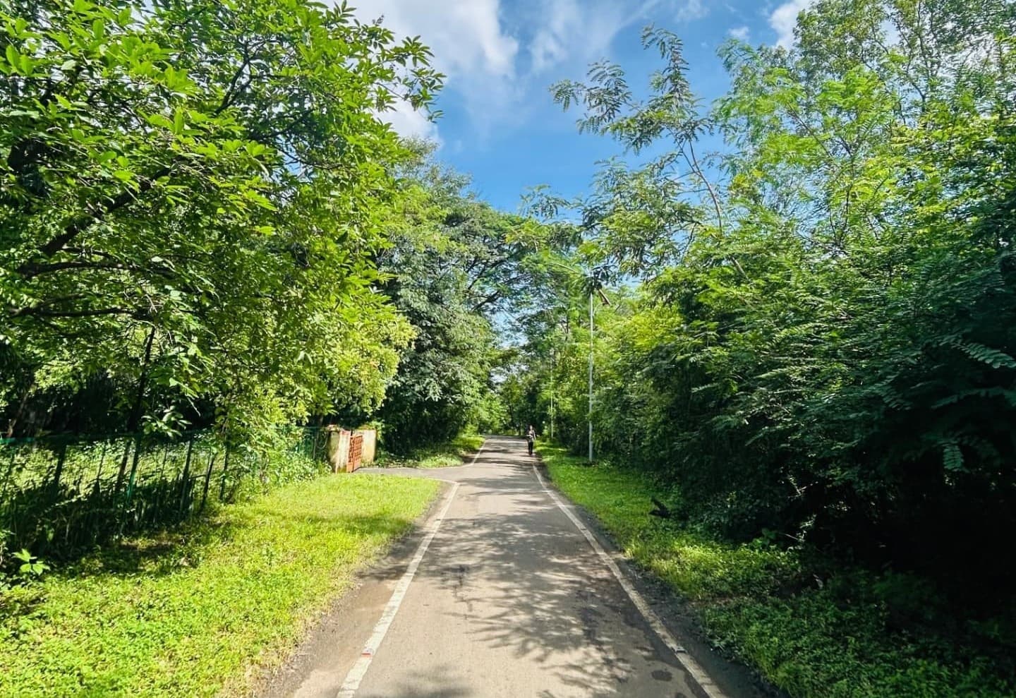 BU Bhopal Campus photo 8